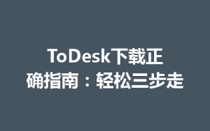 ToDesk下载正确指南：轻松三步走-ToDesk远程桌面控制|官方下载