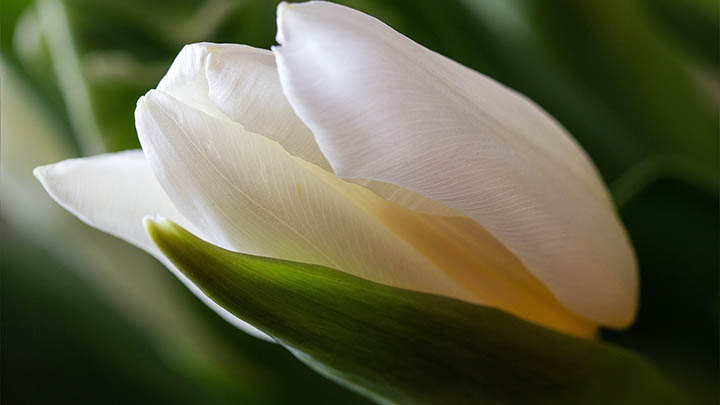 ToDesk下载正版最全指南 二