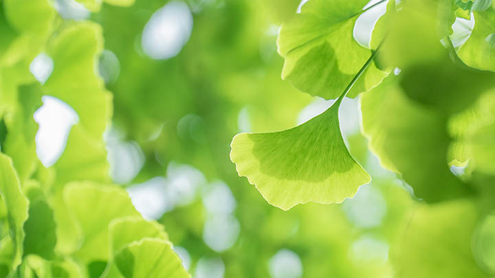 ToDesk下载:如何3步轻松获取安装包 二