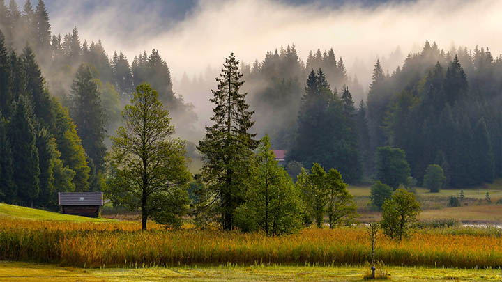 ToDesk下载失败？卡顿&错误无法进行？快速解决方案全面解析！ 二