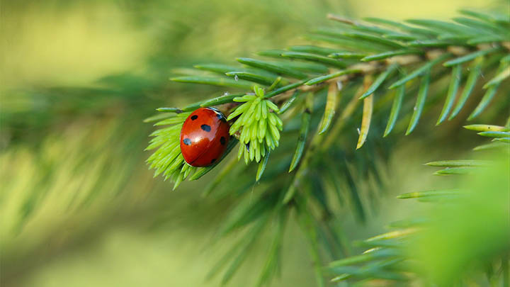 ToDesk下载中:如何轻松连接远程设备 二