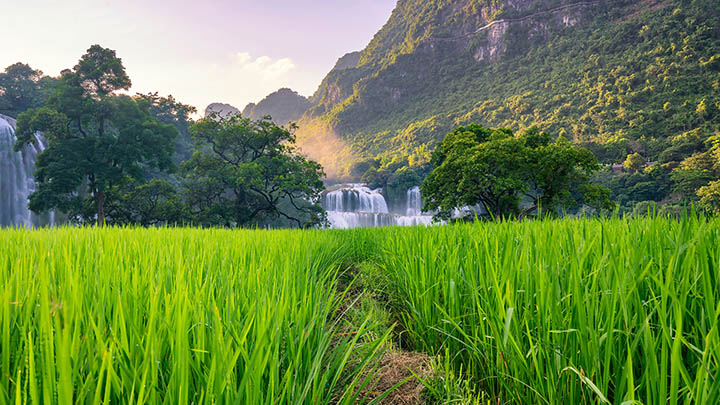 ToDesk下载正版教程攻略+免费安装使用指南 二
