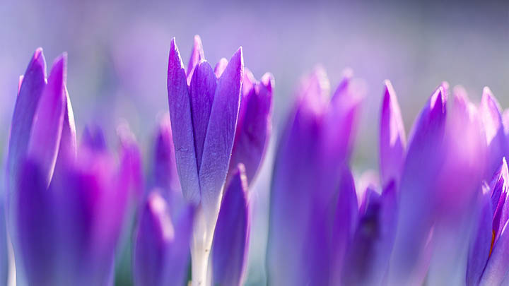 平板ToDesk下载全解指南安卓/iPad快速适配 二