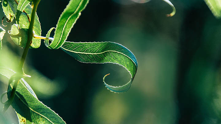 Mac无法下载安装ToDesk？五大技巧解决mactodesk下载问题 二