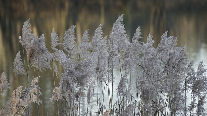 ToDesk下载手机版：快速连接教程 二