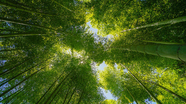 ToDesk下载文件太慢？多节点加速+分段下载双重优化方案解锁 二