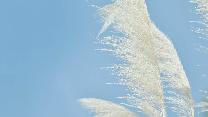 ToDesk下载云电脑?最新体验攻略详解 二