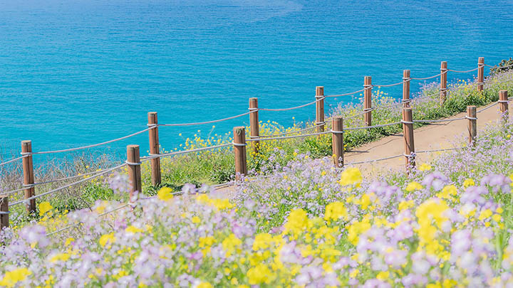 ToDesk下载用户版:免费使用全攻略 二