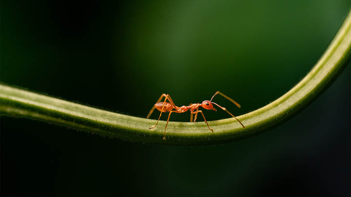 ToDesk下载官方电脑新手指南:快速解决连接失败/安装卡顿/启动异常问题分析 二