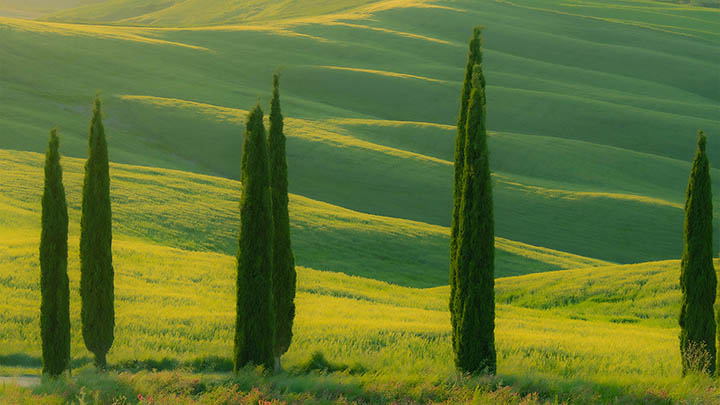 ToDesk下载电脑不了?最新解决指南 二