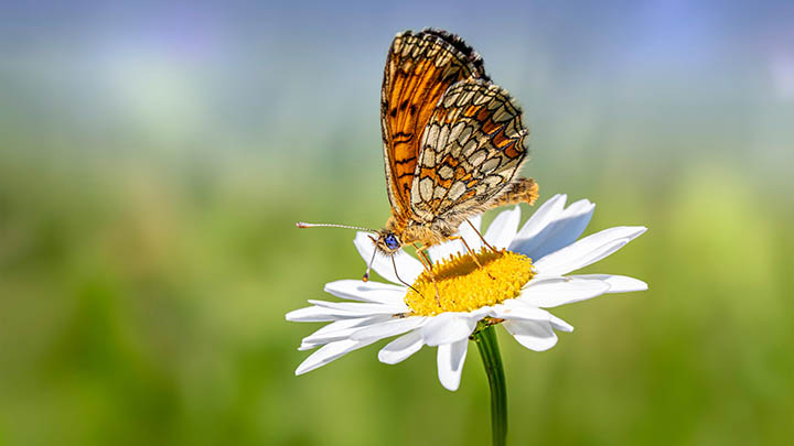ToDesk下载有风险吗？安全避坑指南 二