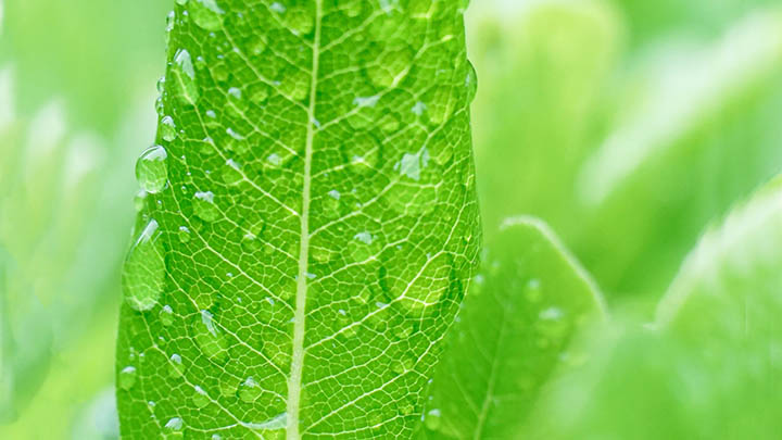 ToDesk下载电脑端：轻松实现远程控制的全新指南 二