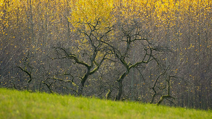 ToDesk下载远程电脑全解析，你不得不掌握的使用技巧 二