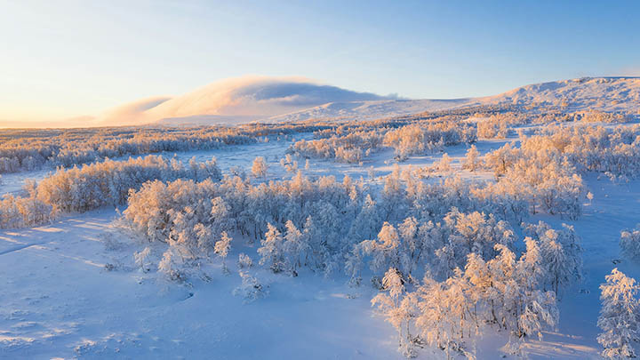 ToDesk下载安装+2025年详细教程与实用技巧揭秘 二