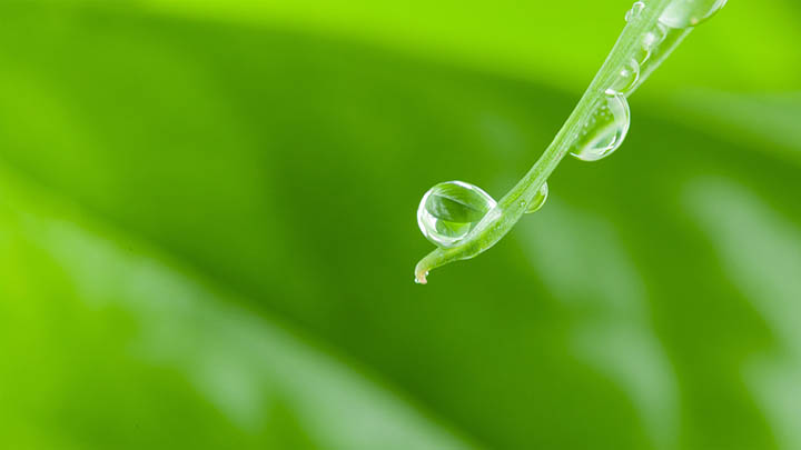 ToDesk官网下载教程+最新官方地址解析 二