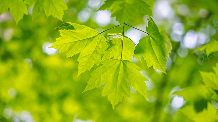 ToDesk下载：3步获取正版软件教程 二