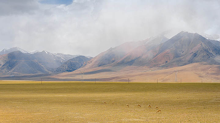 ToDesk最新版电脑链接下载指南支持Win/Mac系统 二