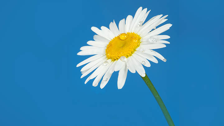 ToDesk下载官pc版教程?官方入口+完整安装指南 二