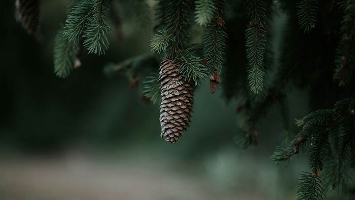 ToDesk下载电脑版闪退/无法启动/系统不兼容全套解决方案 二