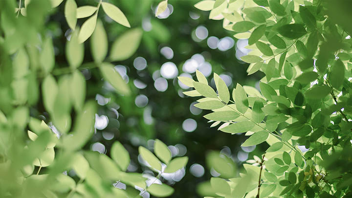 ToDesk下载受阻？深度解析无法安装与运行的6大原因及解决策略 二