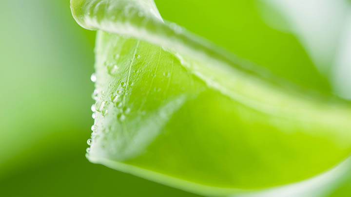 ToDesk下载难题？电脑直连+极速代理双管齐下，畅享无忧2025年体验 二