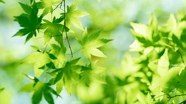 怎么电视版ToDesk下载：实用教程快速入门 二